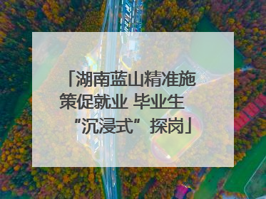 湖南蓝山精准施策促就业 毕业生“沉浸式”探岗