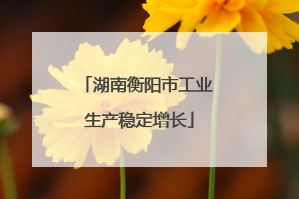 湖南衡阳市工业生产稳定增长
