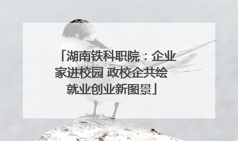 湖南铁科职院：企业家进校园 政校企共绘就业创业新图景