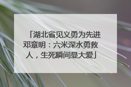 湖北省见义勇为先进邓章明：六米深水勇救人，生死瞬间显大爱