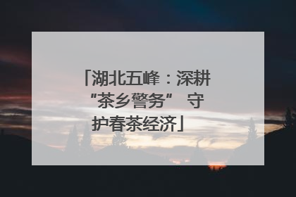 湖北五峰：深耕“茶乡警务” 守护春茶经济