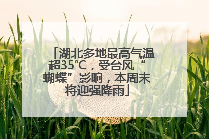 湖北多地最高气温超35℃，受台风“蝴蝶”影响，本周末将迎强降雨