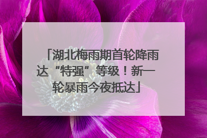湖北梅雨期首轮降雨达“特强”等级！新一轮暴雨今夜抵达