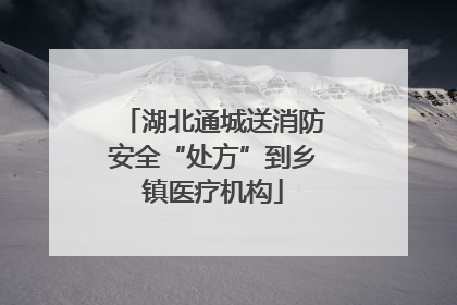 湖北通城送消防安全“处方”到乡镇医疗机构