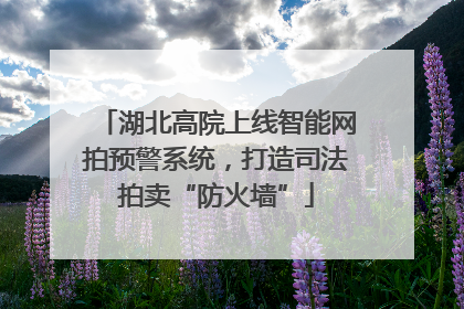 湖北高院上线智能网拍预警系统，打造司法拍卖“防火墙”