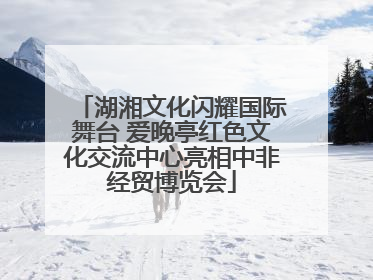 湖湘文化闪耀国际舞台 爱晚亭红色文化交流中心亮相中非经贸博览会