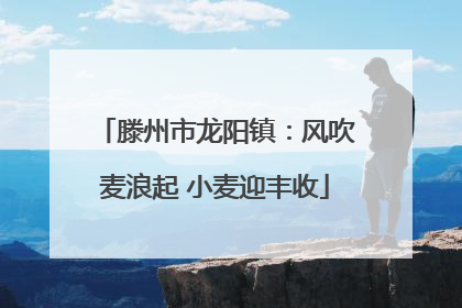 滕州市龙阳镇：风吹麦浪起 小麦迎丰收