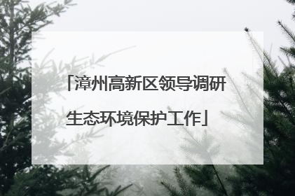 漳州高新区领导调研生态环境保护工作