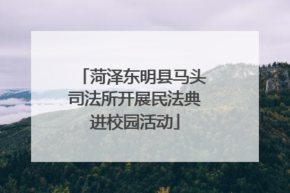 菏泽东明县马头司法所开展民法典进校园活动