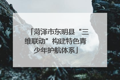 菏泽市东明县“三维联动”构建特色青少年护航体系