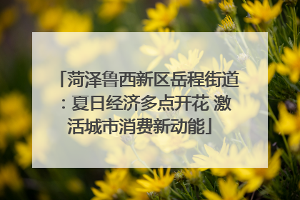 菏泽鲁西新区岳程街道：夏日经济多点开花 激活城市消费新动能