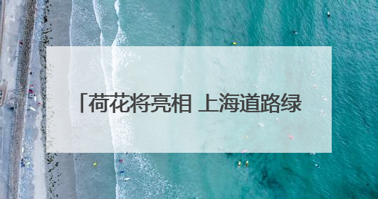 荷花将亮相 上海道路绿化next level