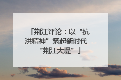 荆江评论：以“抗洪精神”筑起新时代“荆江大堤”
