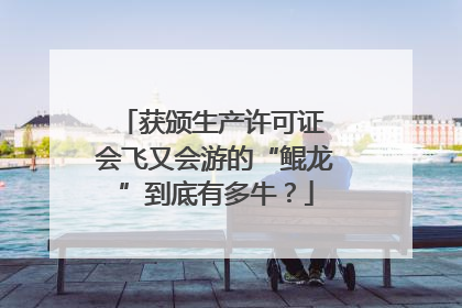 获颁生产许可证 会飞又会游的“鲲龙”到底有多牛？