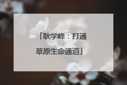 耿学峰：打通草原生命通道