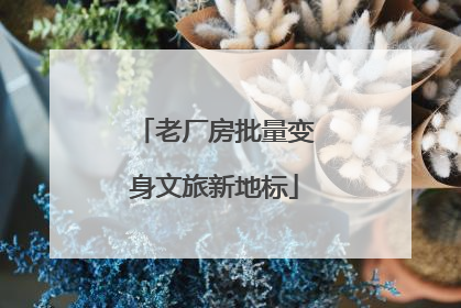 老厂房批量变身文旅新地标