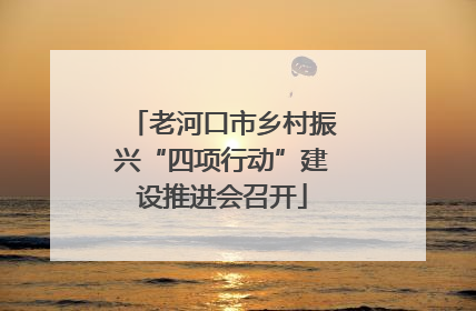 老河口市乡村振兴“四项行动”建设推进会召开