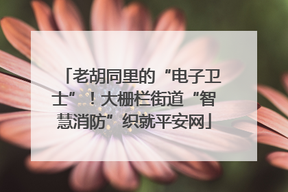 老胡同里的“电子卫士”！大栅栏街道“智慧消防”织就平安网