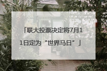 联大投票决定将7月11日定为“世界马日”