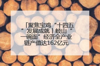 聚焦宝鸡“十四五”发展成就丨岐山“一碗面”经济全产业链产值达162亿元 入选全国典型县