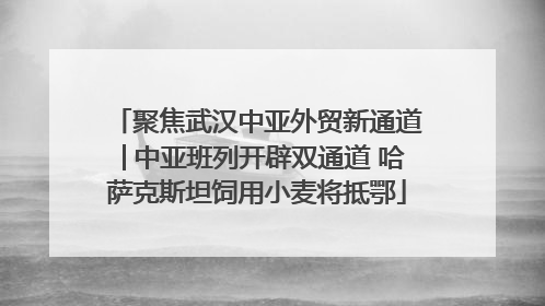 聚焦武汉中亚外贸新通道│中亚班列开辟双通道 哈萨克斯坦饲用小麦将抵鄂