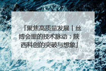 聚焦高质量发展丨丝博会里的技术脉动：陕西科创的突破与想象