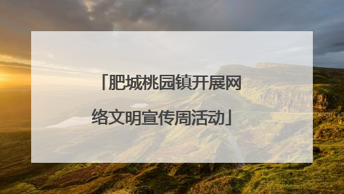 肥城桃园镇开展网络文明宣传周活动