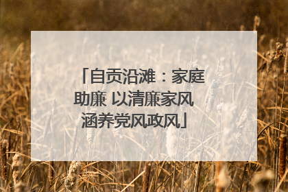 自贡沿滩：家庭助廉 以清廉家风涵养党风政风