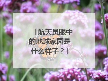 航天员眼中的地球家园是什么样子？