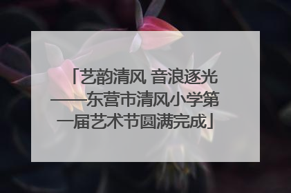 艺韵清风 音浪逐光——东营市清风小学第一届艺术节圆满完成