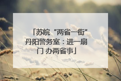 苏皖“两省一街”丹阳警务室：进一扇门 办两省事