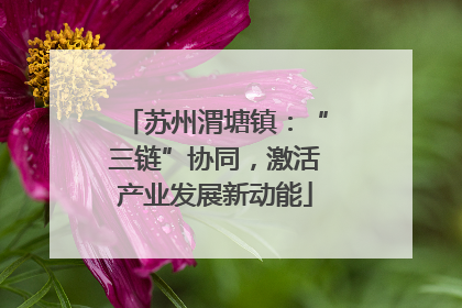 苏州渭塘镇：“三链”协同，激活产业发展新动能