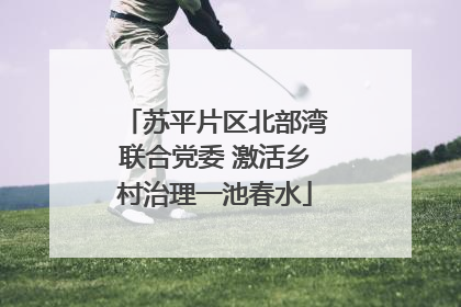 苏平片区北部湾联合党委 激活乡村治理一池春水