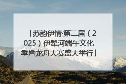 苏韵伊情·第二届（2025）伊犁河端午文化季暨龙舟大赛盛大举行