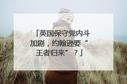 英国保守党内斗加剧，约翰逊要“王者归来”？