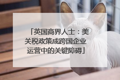 英国商界人士：美关税政策成跨国企业运营中的关键障碍