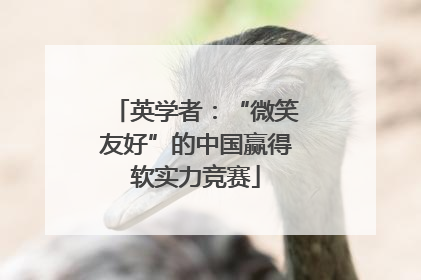 英学者：“微笑友好”的中国赢得软实力竞赛