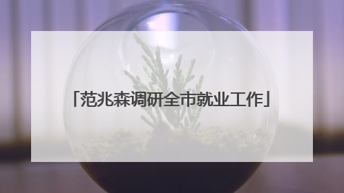 范兆森调研全市就业工作