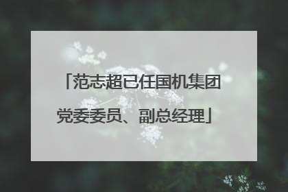 范志超已任国机集团党委委员、副总经理