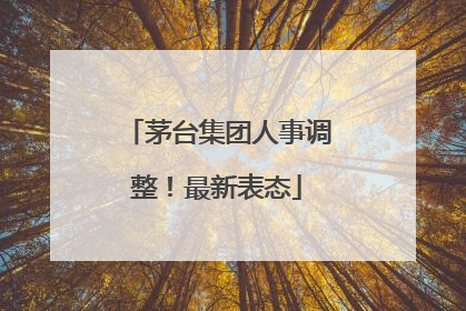 茅台集团人事调整！最新表态