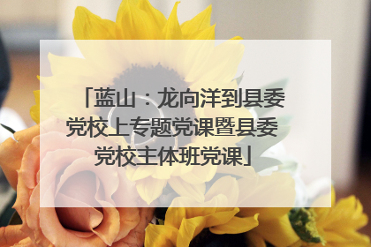 蓝山：龙向洋到县委党校上专题党课暨县委党校主体班党课