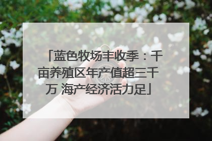 蓝色牧场丰收季：千亩养殖区年产值超三千万 海产经济活力足