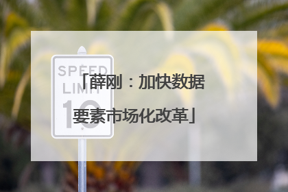 薛刚：加快数据要素市场化改革