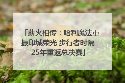 薪火相传：哈利魔法重振印城荣光 步行者时隔25年重返总决赛