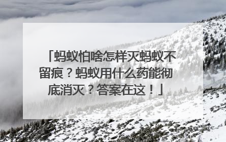 蚂蚁怕啥怎样灭蚂蚁不留痕？蚂蚁用什么药能彻底消灭？答案在这！