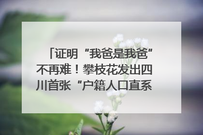 证明“我爸是我爸”不再难！攀枝花发出四川首张“户籍人口直系亲属关系谱”