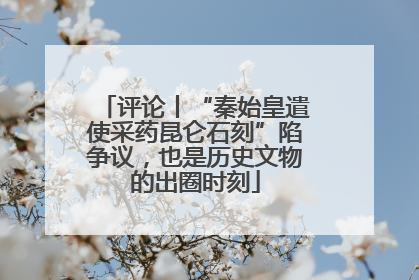 评论丨“秦始皇遣使采药昆仑石刻”陷争议，也是历史文物的出圈时刻