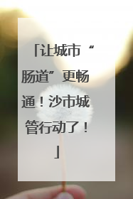 让城市“肠道”更畅通！沙市城管行动了！
