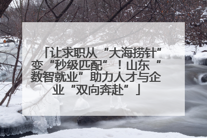 让求职从“大海捞针”变“秒级匹配”！山东“数智就业”助力人才与企业“双向奔赴”