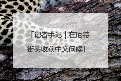 记者手记｜在厄特街头收获中文问候